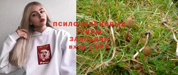 трава Абинск