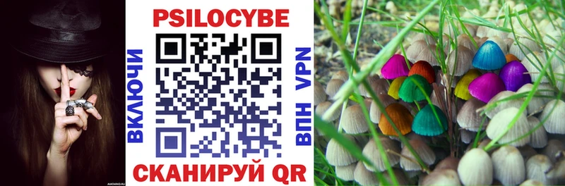 где продают наркотики  Тырныауз  Галлюциногенные грибы мухоморы 